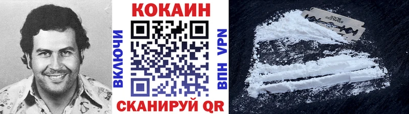 COCAIN FishScale  Купить где  Закаменск 