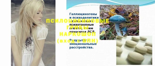 мескалин Карпинск