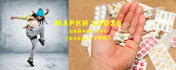 прущие грибы Касимов