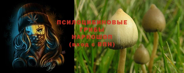 прущие грибы Касимов