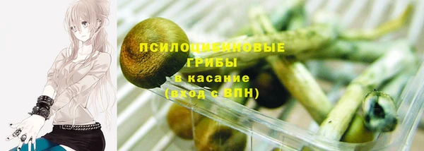 спиды Карталы