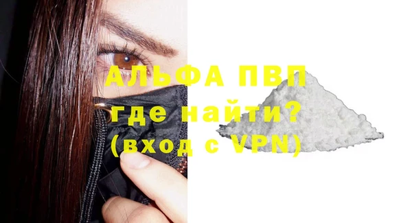 прущие грибы Касимов