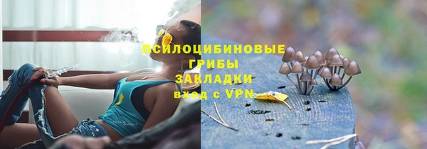 спиды Карталы