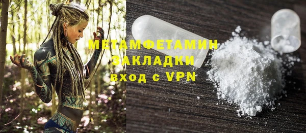прущие грибы Касимов