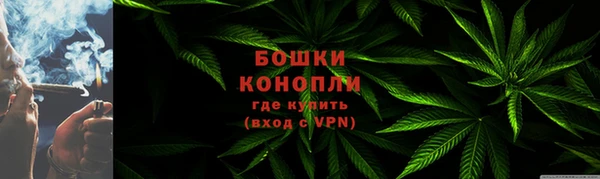 прущие грибы Касимов