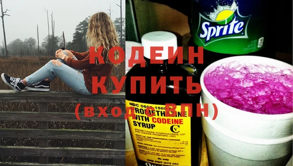 прущие грибы Касимов