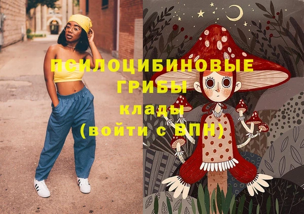 прущие грибы Касимов