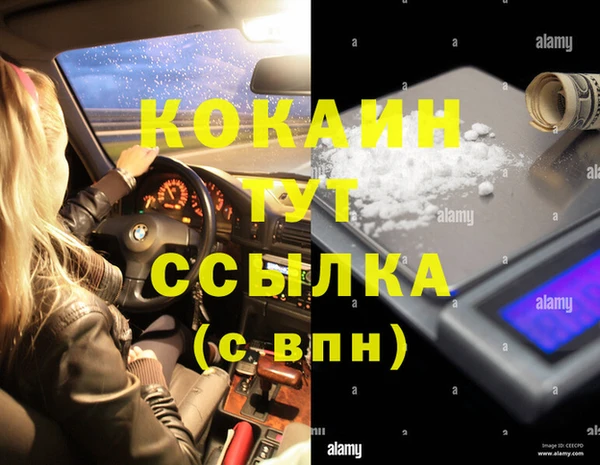 прущие грибы Касимов