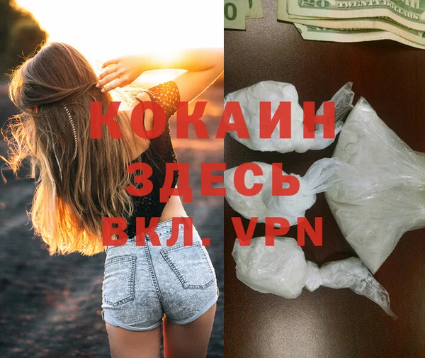 спиды Карталы