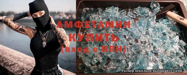 прущие грибы Касимов