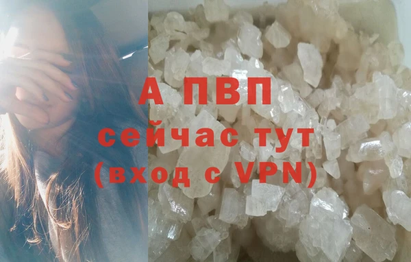 спиды Карталы