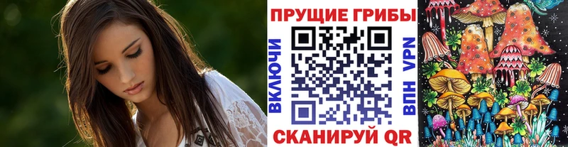 Купить закладки  Закаменск  Псилоцибиновые грибы мицелий 